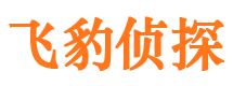 天宁寻人公司